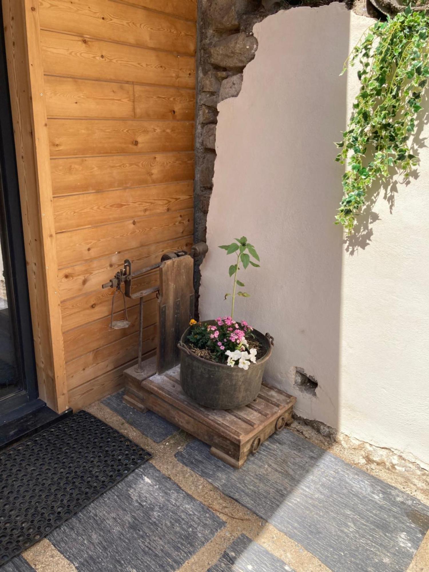 Chalet Melba Le Clos Des Ours Matemale Luaran gambar